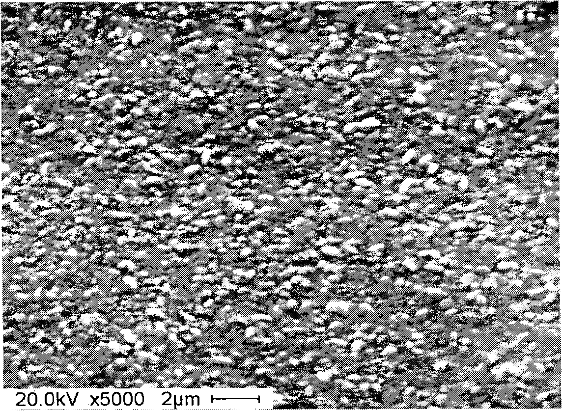 Palladium plating liquid for preparing Co/Pd nano-multilayer film by double-flute method electrocrystallization