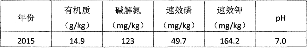 Method for producing ecological fertilizer by adopting low-temperature film forming process