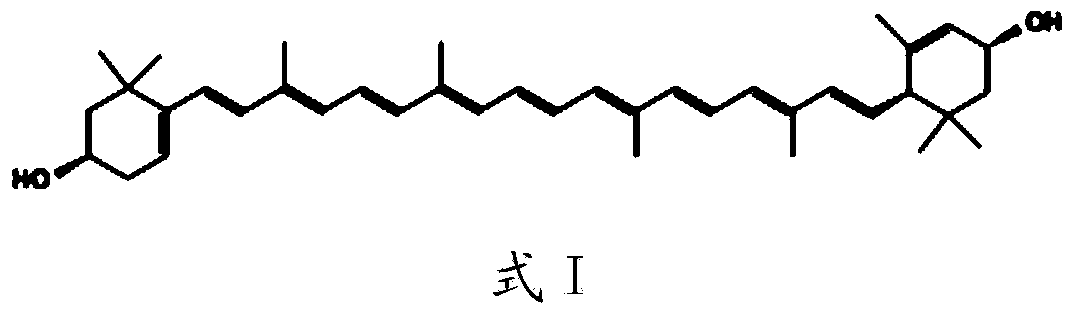 Lutein water soluble powder and preparation method thereof