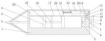 Visual intelligent oral cavity medicine applying device