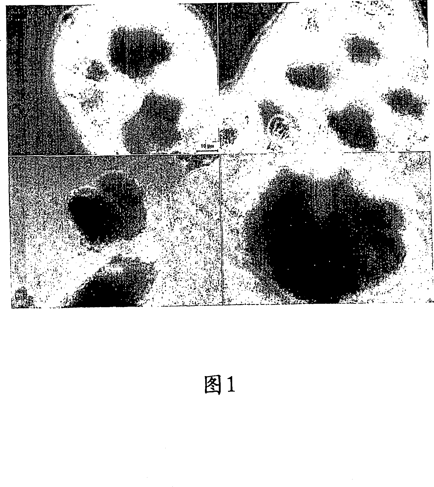 Nanoparticulate formulations of docetaxel and analogues thereof