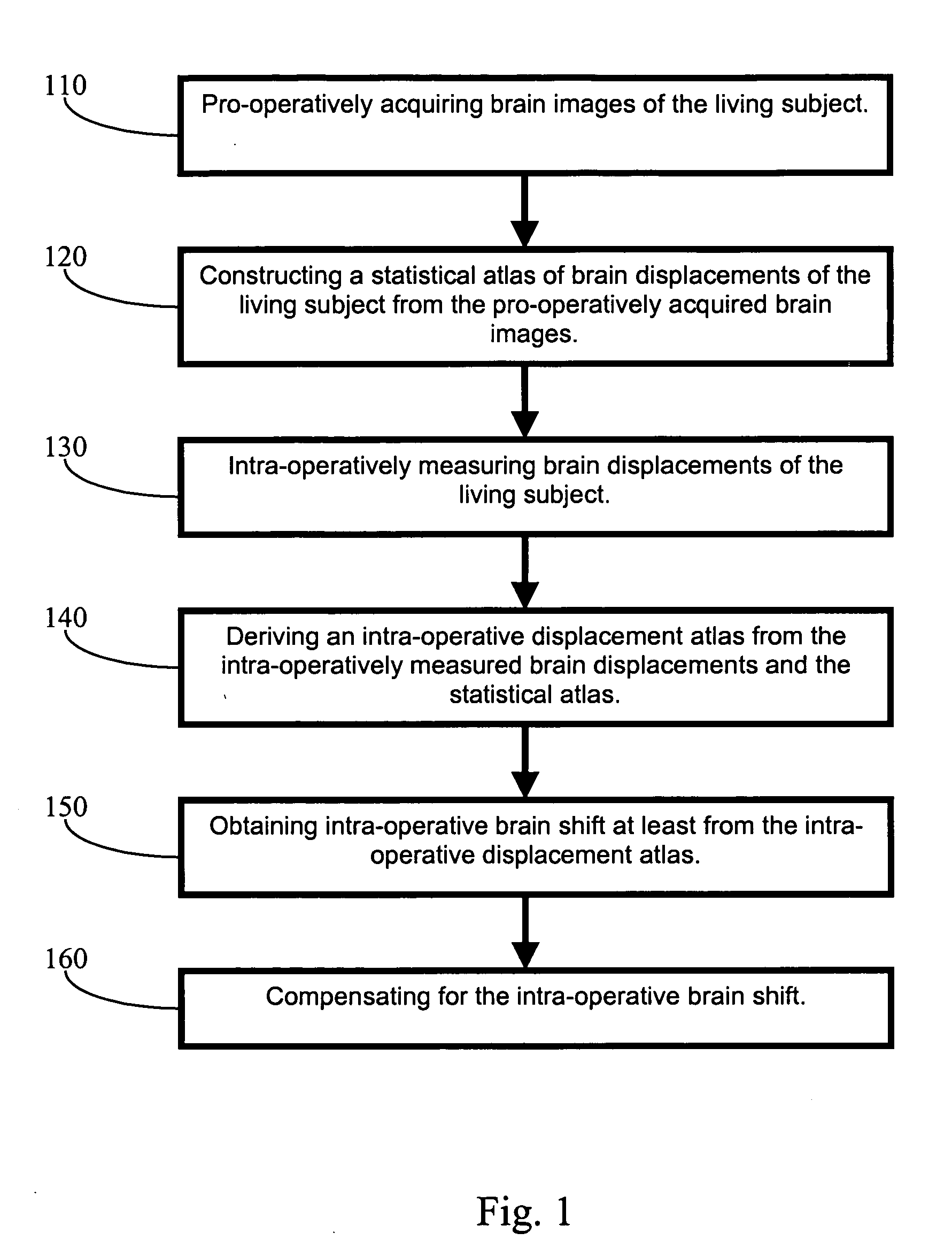 Apparatus and methods of brain shift compensation and applications of the same