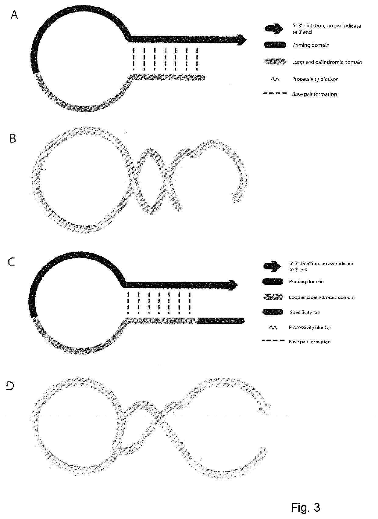 Molecular fingerprinting methods to detect and genotype DNA targets through polymerase chain reaction