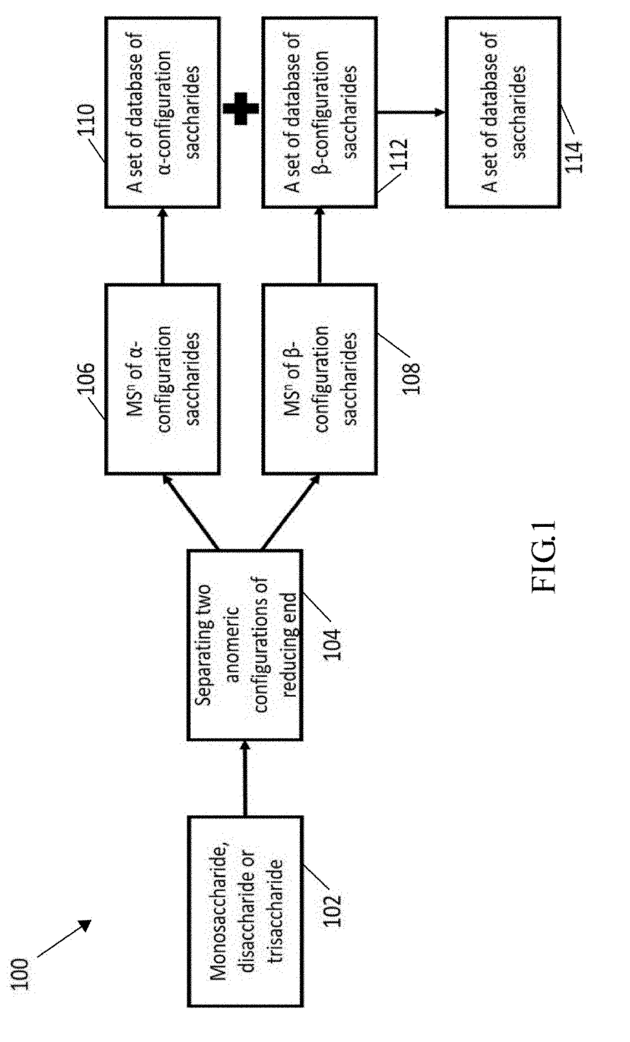 Structural determination of carbohydrates using special  procedure and database of mass spectra