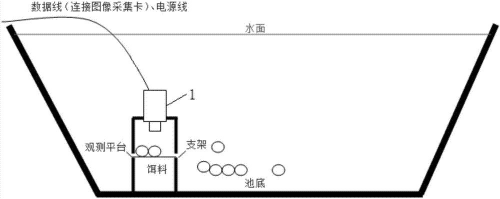 Automatic feeding and water-quality monitoring control system for aquaculture and control method of system
