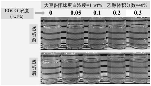 Protein-EGCG composite nanoparticle and antioxidant Pickering high internal phase emulsion