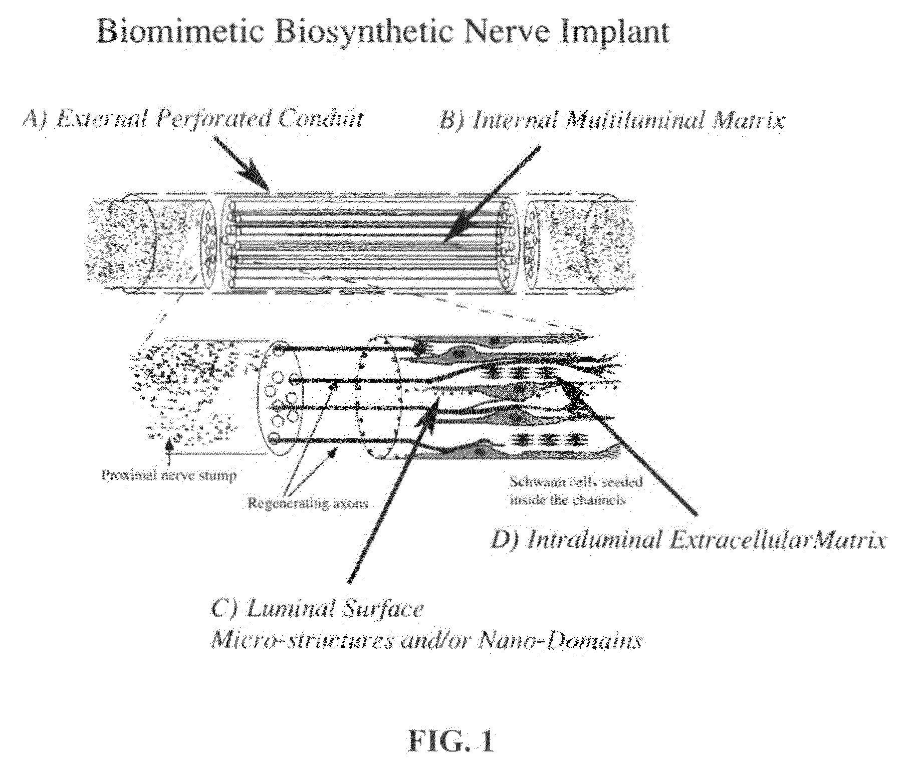Biomimetic Synthetic Nerve Implant Casting Device