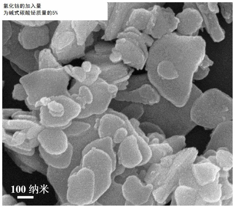 A kind of cobalt oxide-doped bismuth subcarbonate/bismuth oxychloride photocatalyst and preparation method thereof