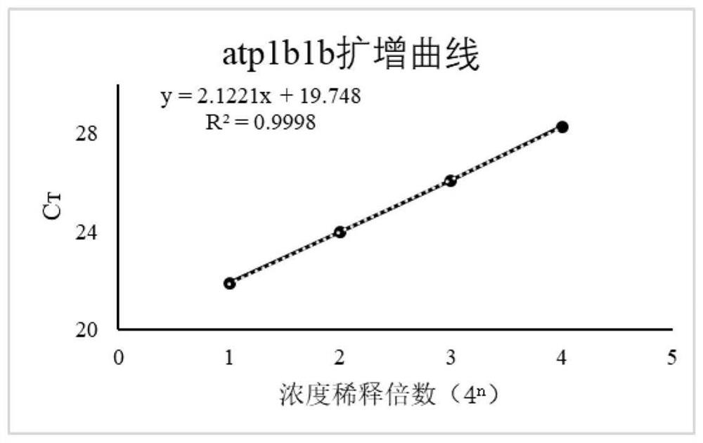 Application of atp1b1b gene in identification of sea freshwater cultured lateolabrax japonicus and application method