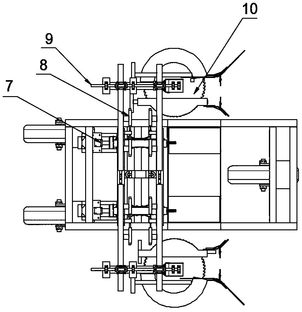 Adaptive double-row pineapple automatic harvester and harvesting method thereof