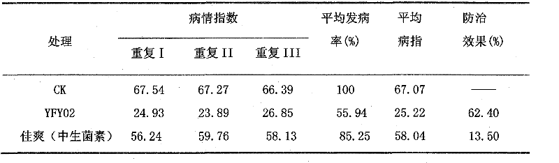 Biological preparation capable of preventing and treating rice streak disease and promoting growth and application thereof