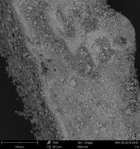 Sponge composite organic solvent absorbent and preparation method thereof