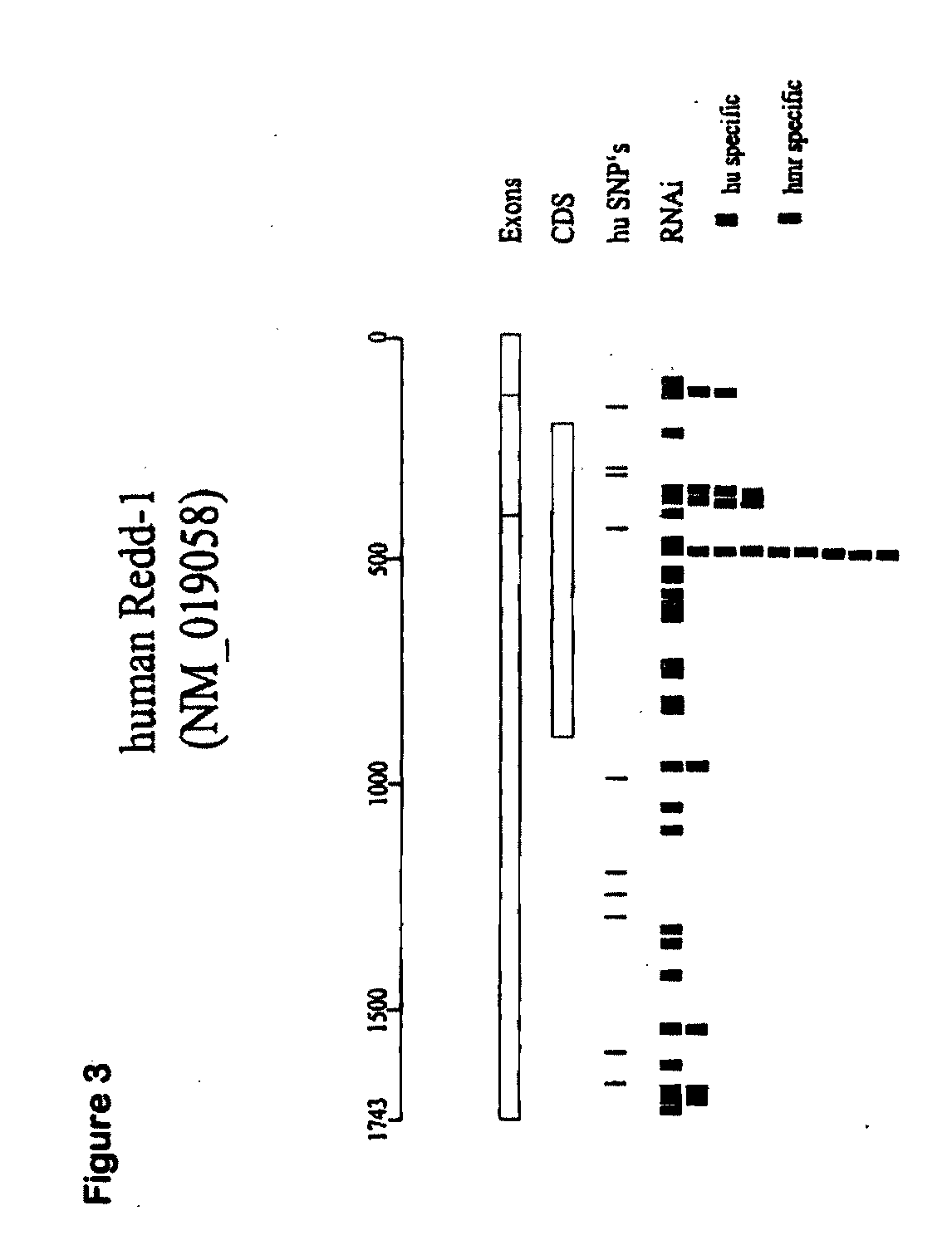 Therapeutic uses of inhibitors of rtp801