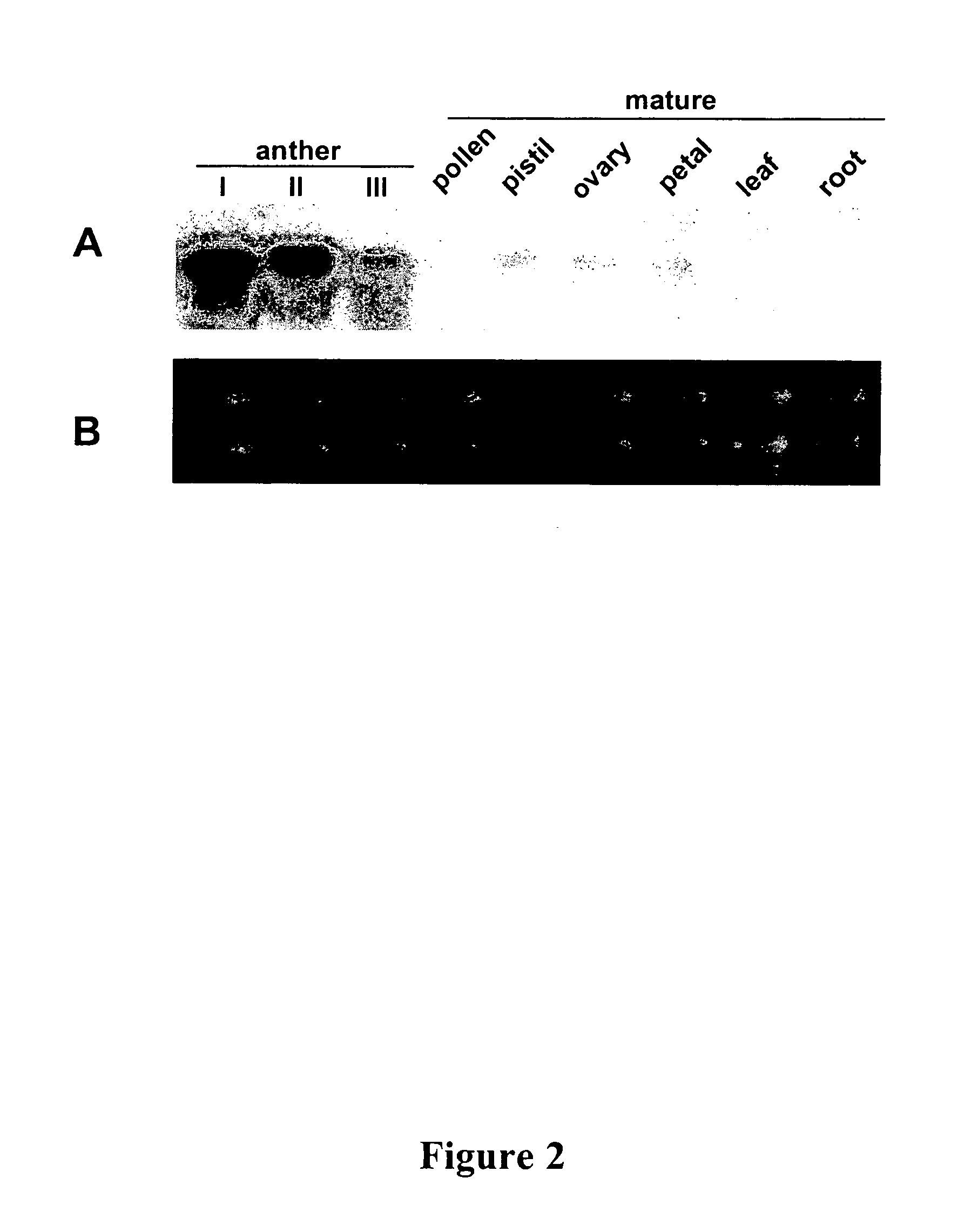 Defensin-encoding nucleic acid molecules derived from nicotiana alata, uses therfor and transgenic plants comprising same