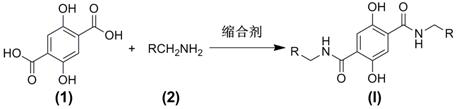 A class of 2,5-dihydroxyterephthalamide compounds, its preparation method and use