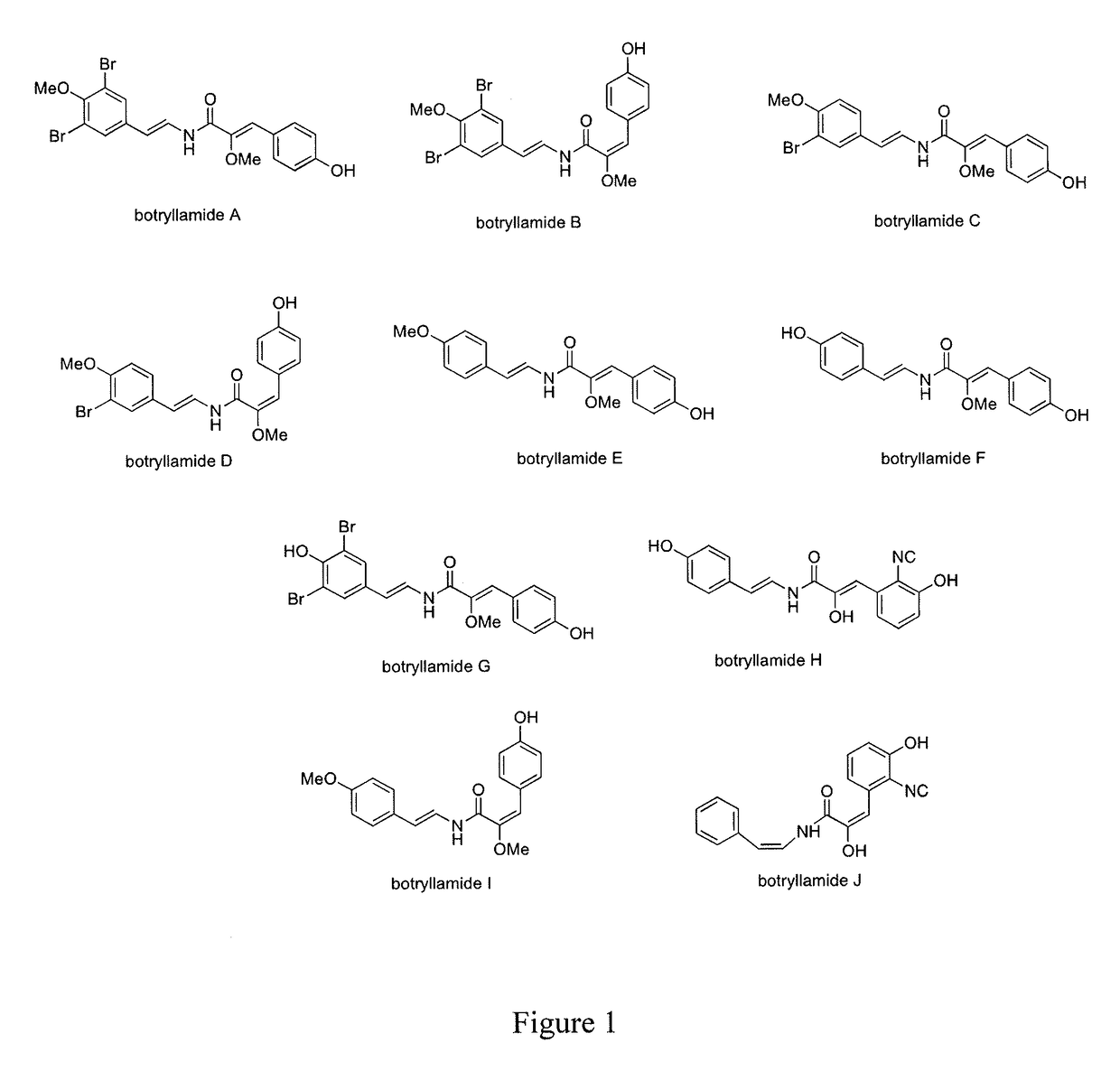 Botryllamides and method of inhibiting PGP in a mammal afflicted with cancer