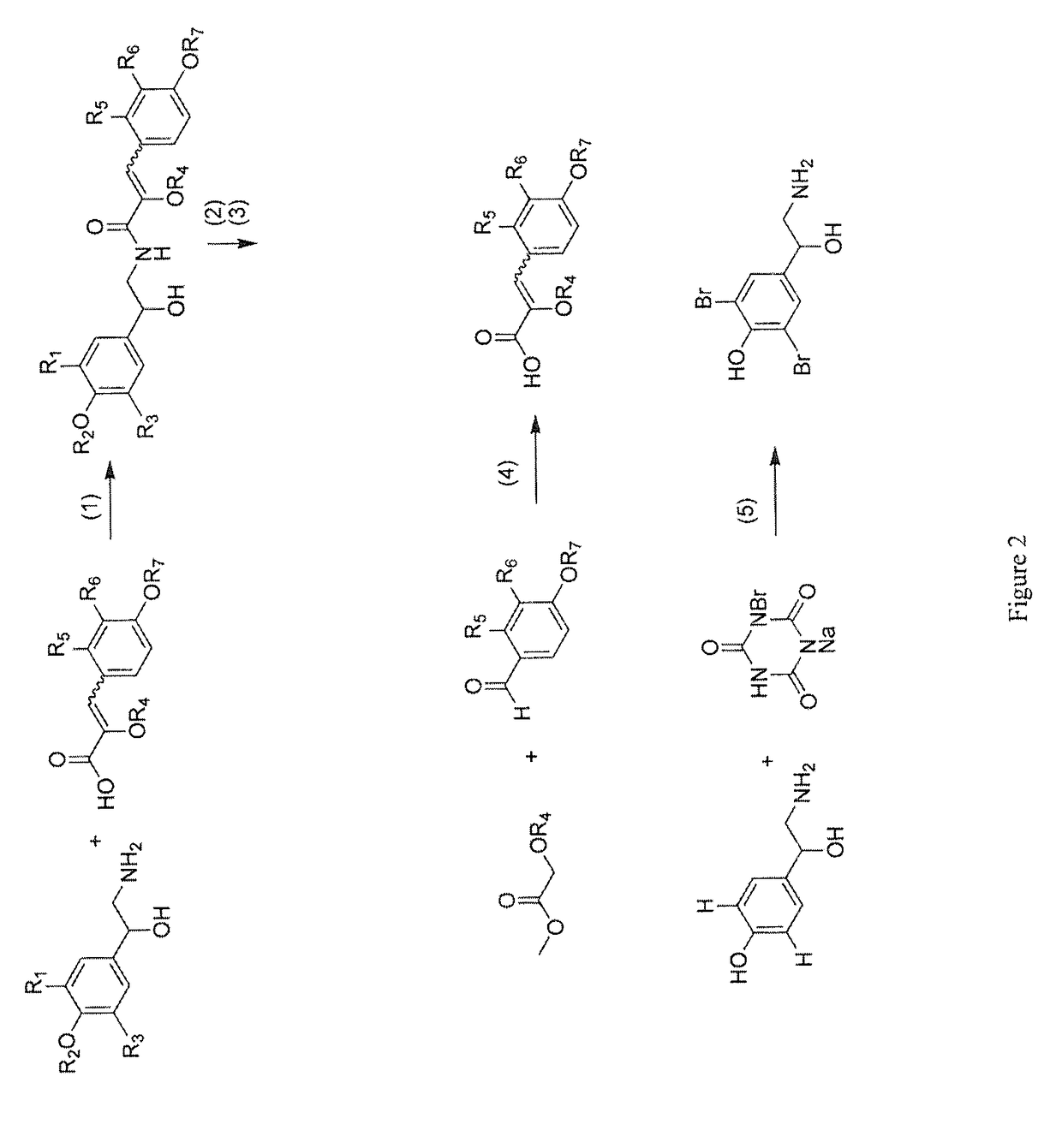 Botryllamides and method of inhibiting PGP in a mammal afflicted with cancer