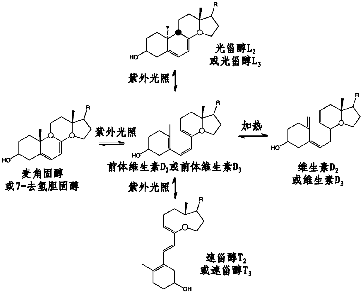 Photochemical synthesis of vitamin D in a tubular reactor  <sub>2</sub> 、d  <sub>3</sub> Methods