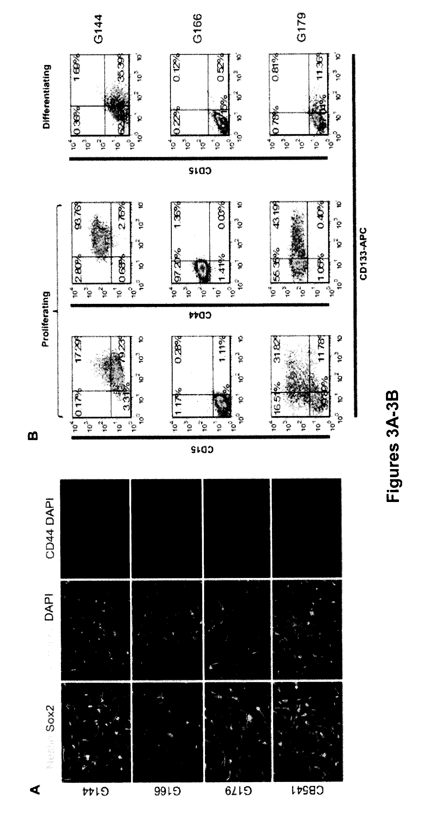 Neural tumor stem cells and methods of use thereof