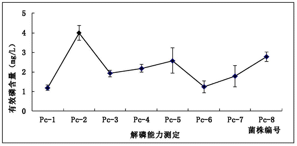 A rhizosphere growth-promoting water-soluble microbial fertilizer