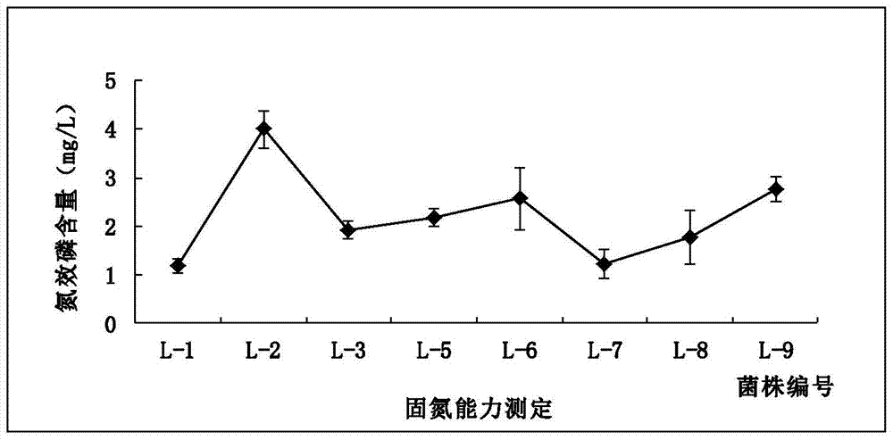 A rhizosphere growth-promoting water-soluble microbial fertilizer