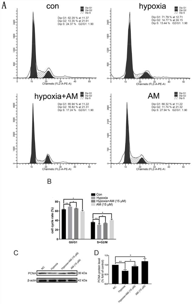 Application of agrimonolide in antagonizing myocardial cell injury caused by hypoxia