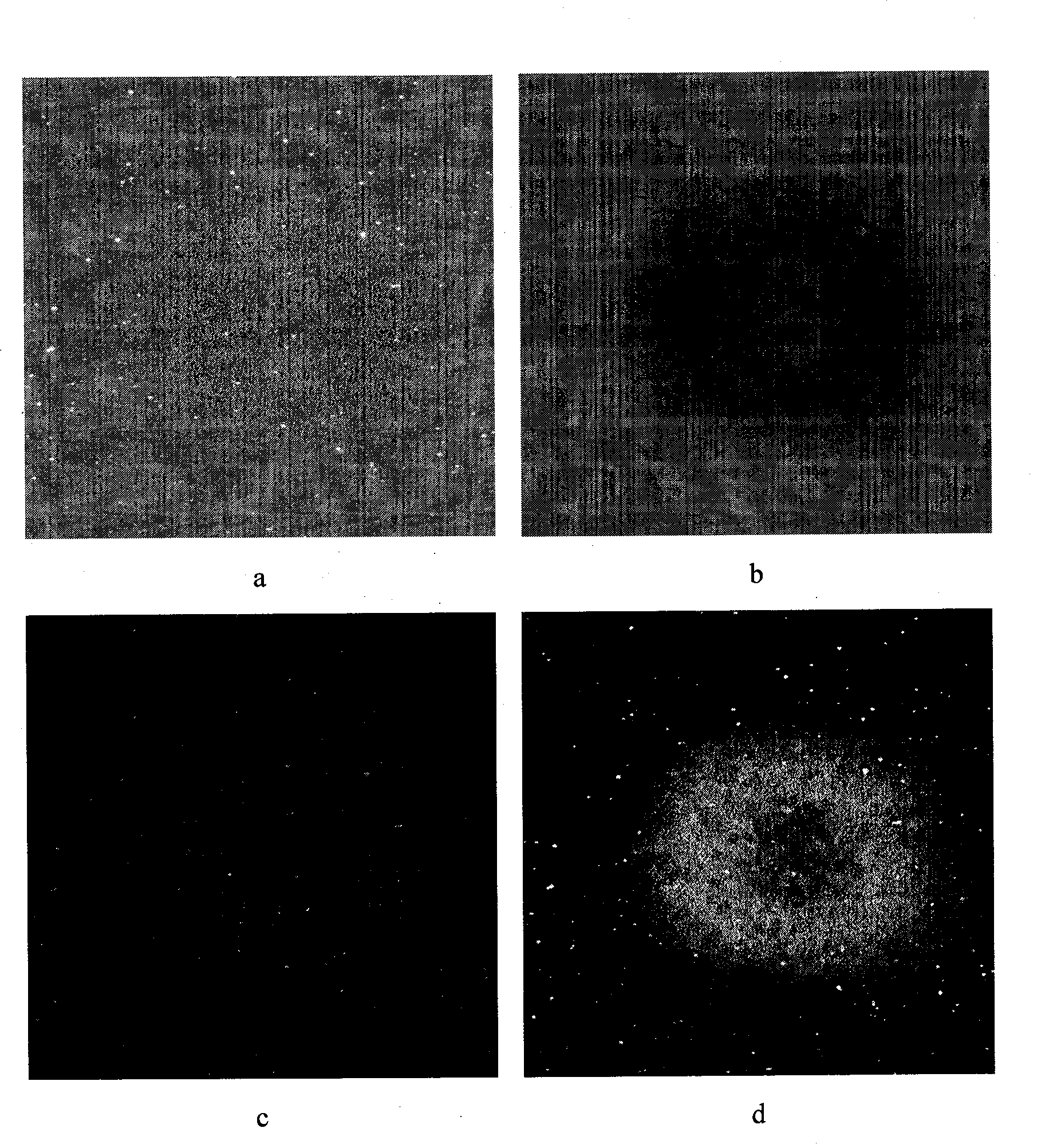 Method for processing astronomical observation gray level image information by computer for target tracing