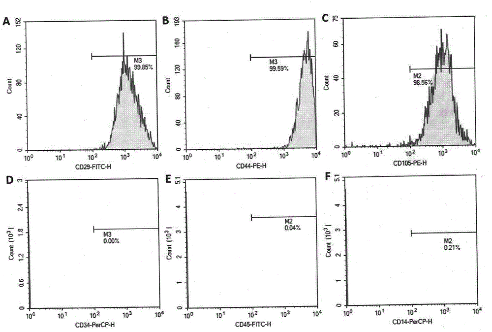Method for preparing biological beautifying facial mask containing adipose derived stem cells and product thereof