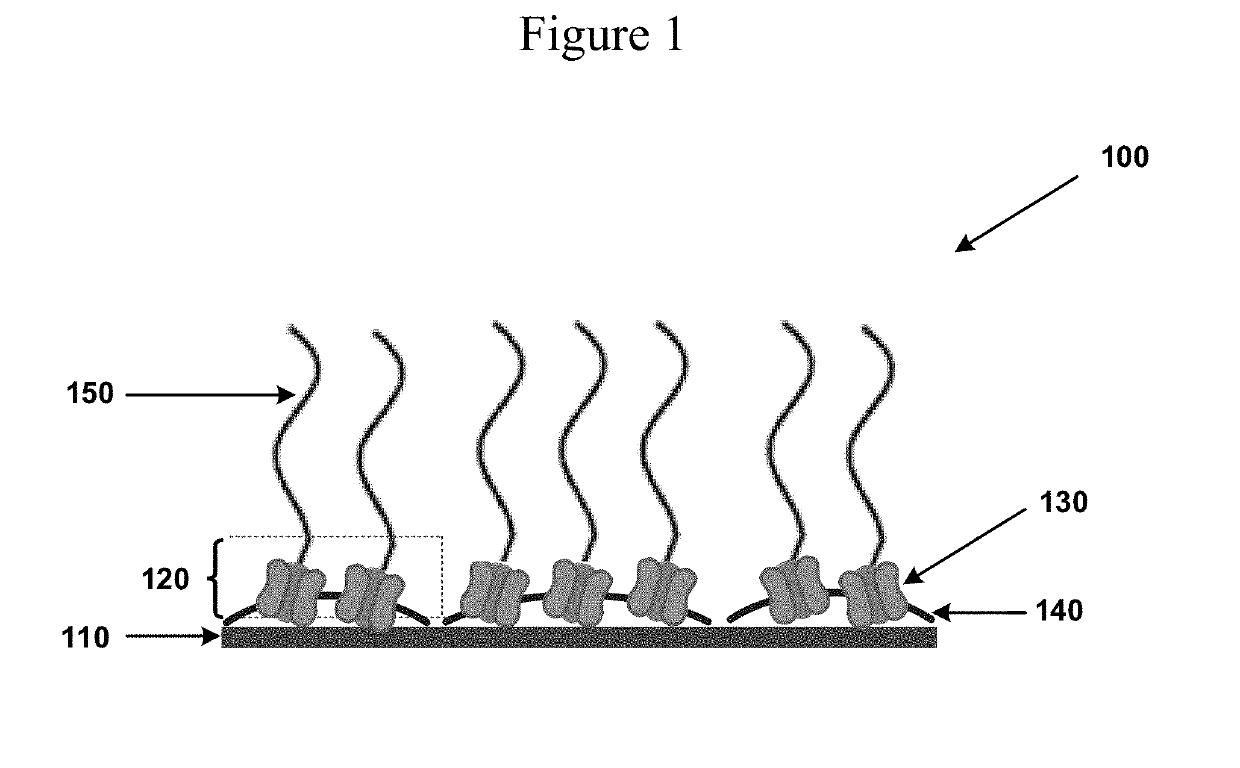 Self-Regenerating Hyaluronan Polymer Brushes