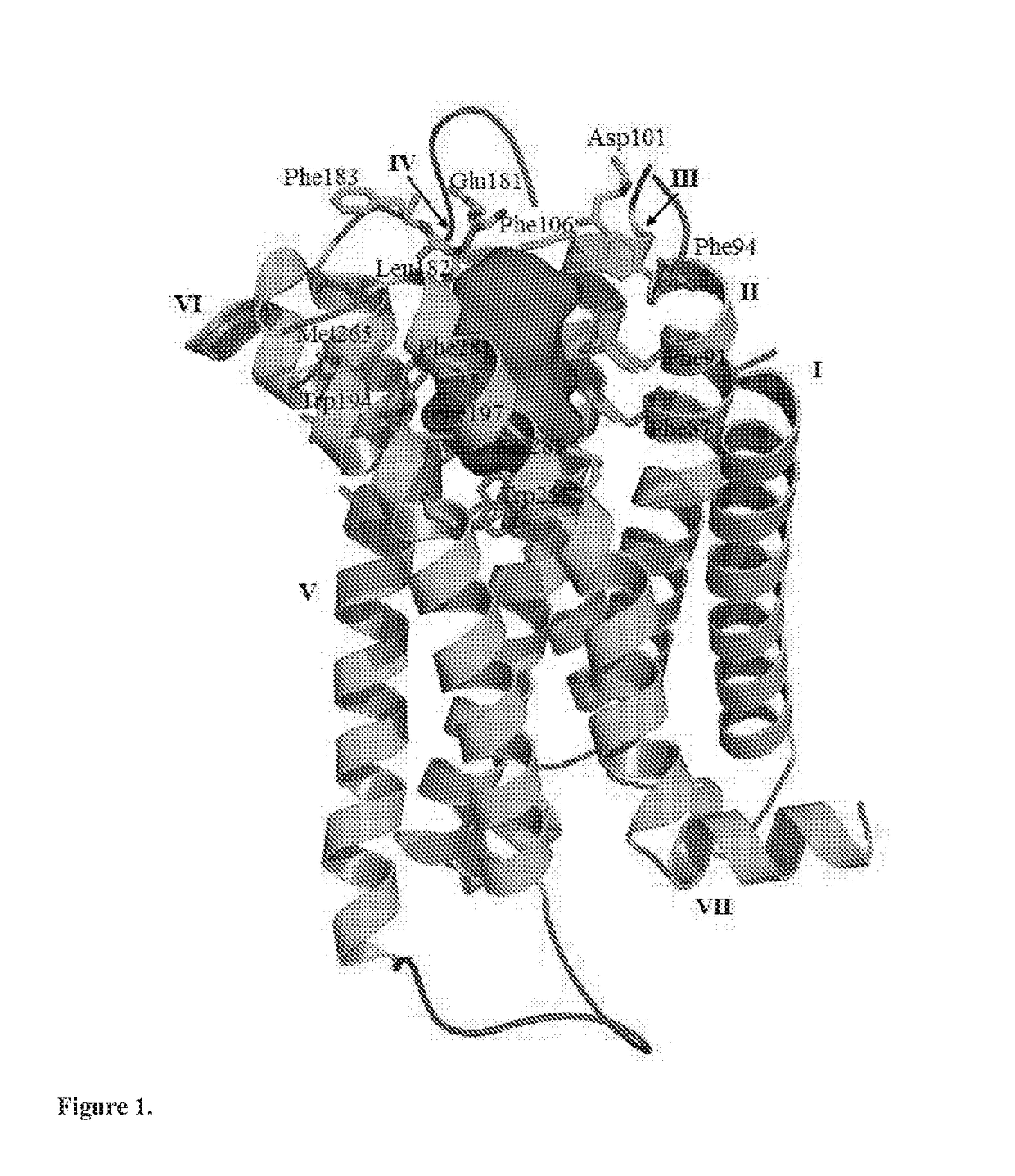 Novel cannabinoid receptor cb2 ligand 4-(aminomethyl)-n,n-dialkylanilines