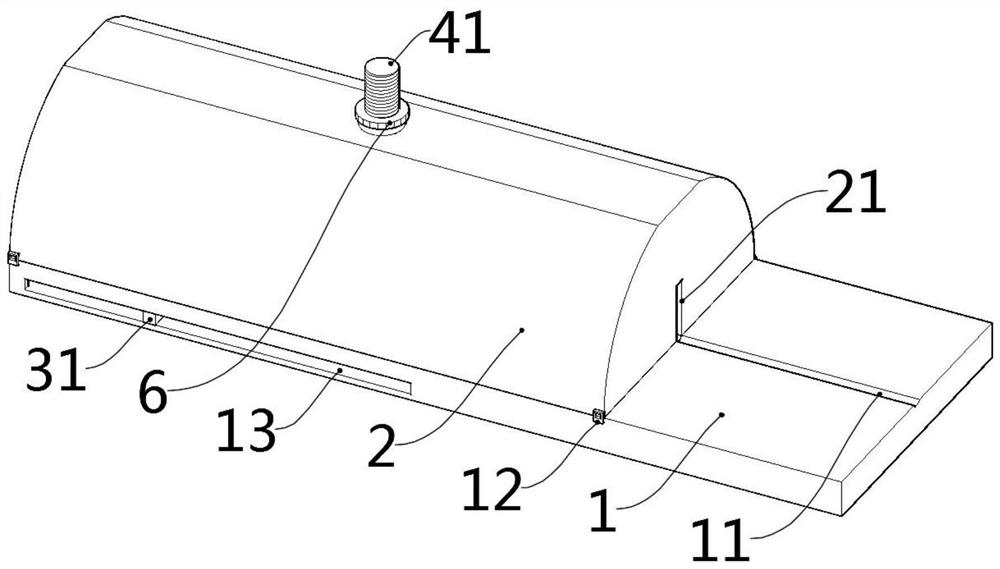 Fixing device for mouse caudal vein injection, suitable for different specifications and convenient to adjust