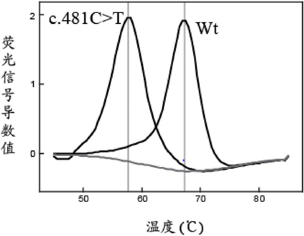 NAT2 gene polymorphism fluorescence PCR melting curve detection kit