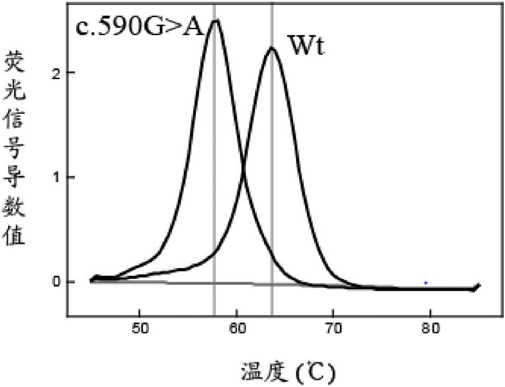 NAT2 gene polymorphism fluorescence PCR melting curve detection kit