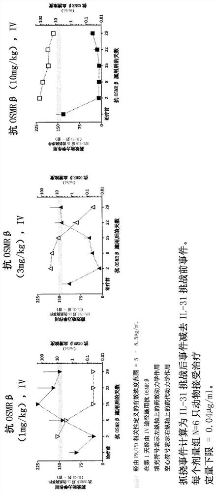 TREATMENT OF SKIN DISEASES OR DISORDERS BY DELIVERY OF ANTI-OSMRbeta ANTIBODY
