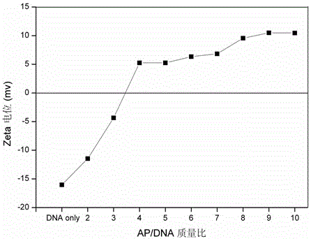 A cationic silk fibroin/gene complex, preparation method and application thereof