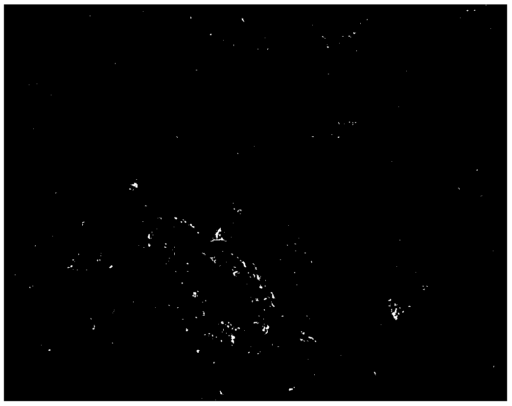 Preventing and treating method for eydia trasias meyrich