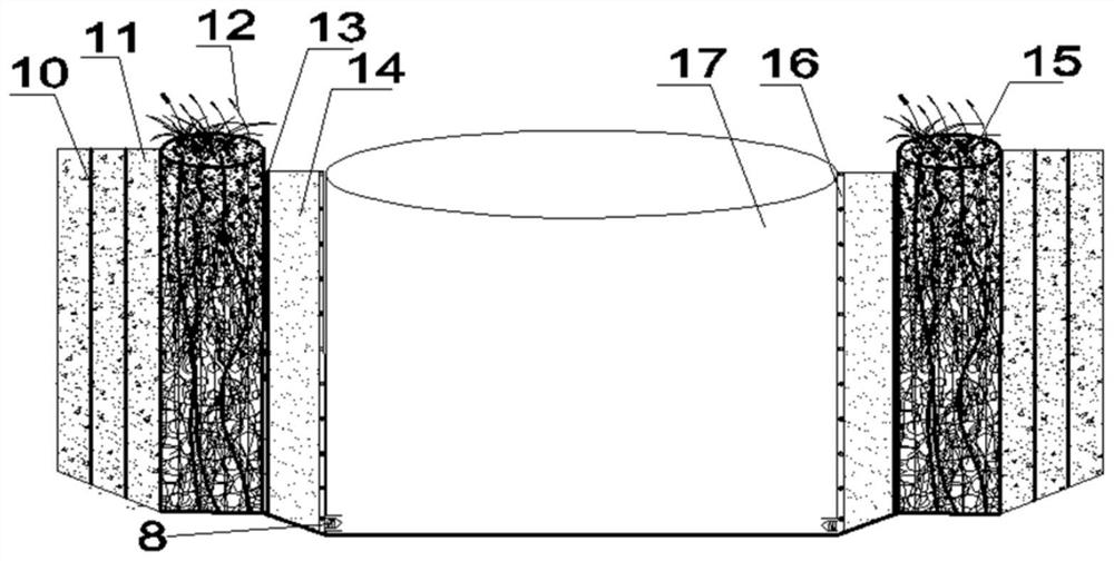 Root division zone drip irrigation system for agricultural non-point source sewage purification and application thereof