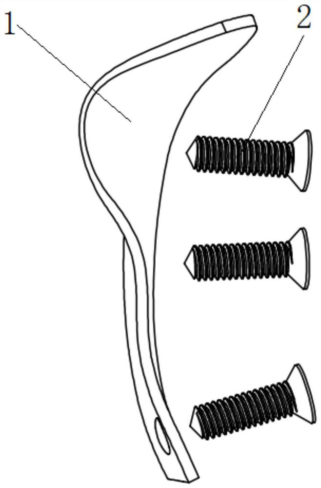 Bone screw type femoral neck fracture inner side supporting steel plate