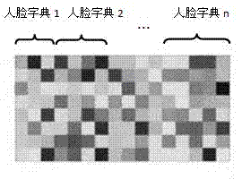 Method for constructing image quality evaluation and face recognition efficiency relation model