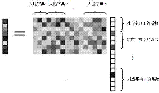 Method for constructing image quality evaluation and face recognition efficiency relation model