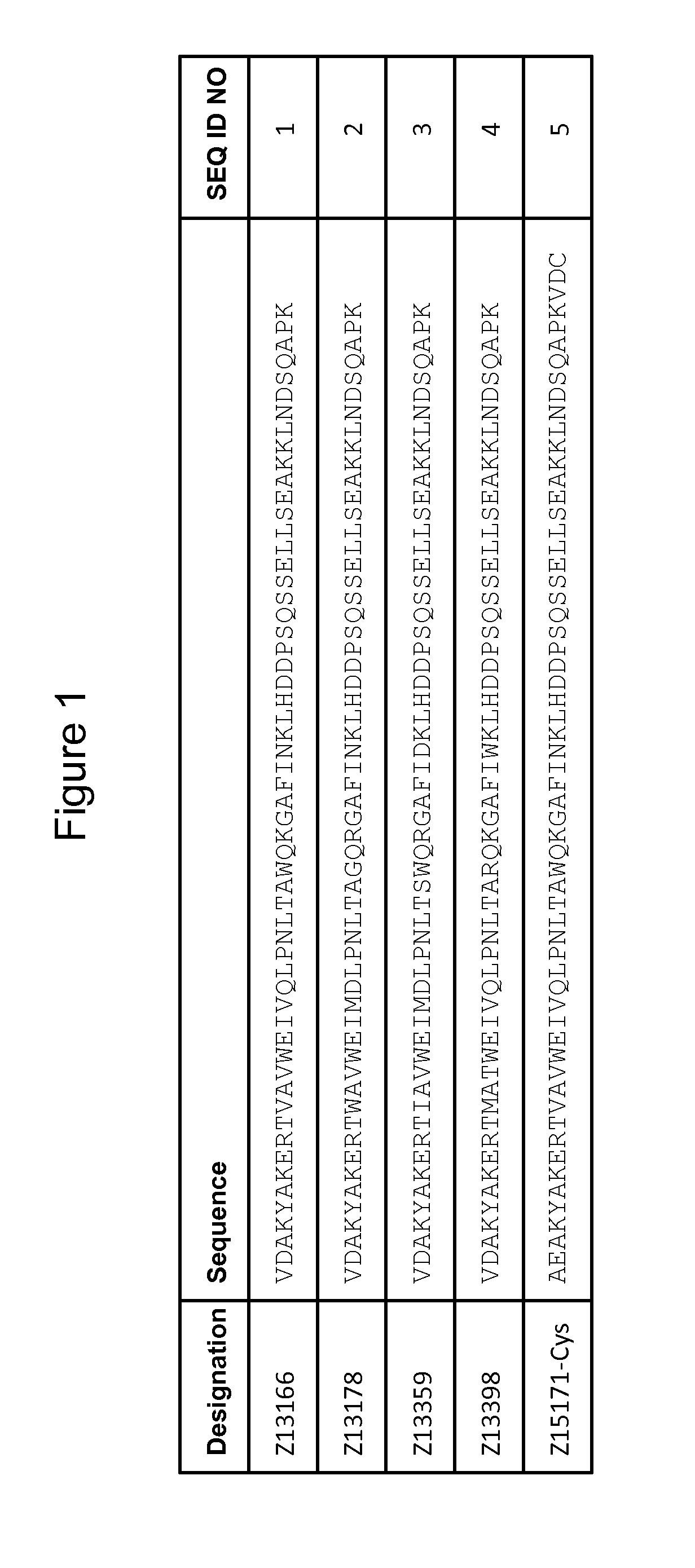 New polypeptide