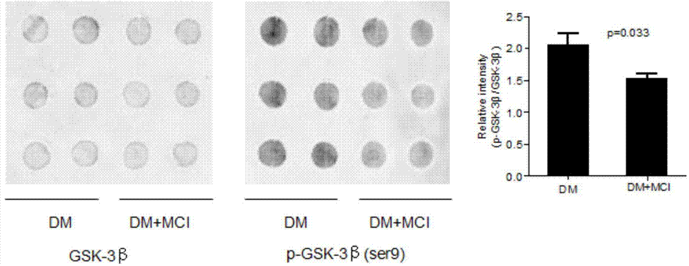Novel serology biomarker GSK3beta detection method for cognitive impairment of diabetic