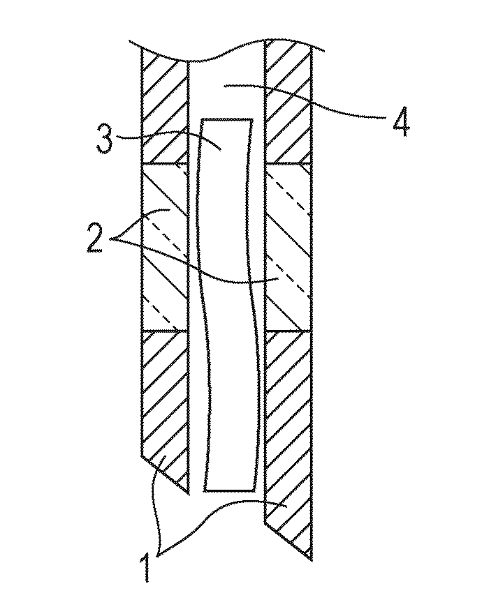 Test apparatus and method of observing biopsy specimen sampled by using test apparatus