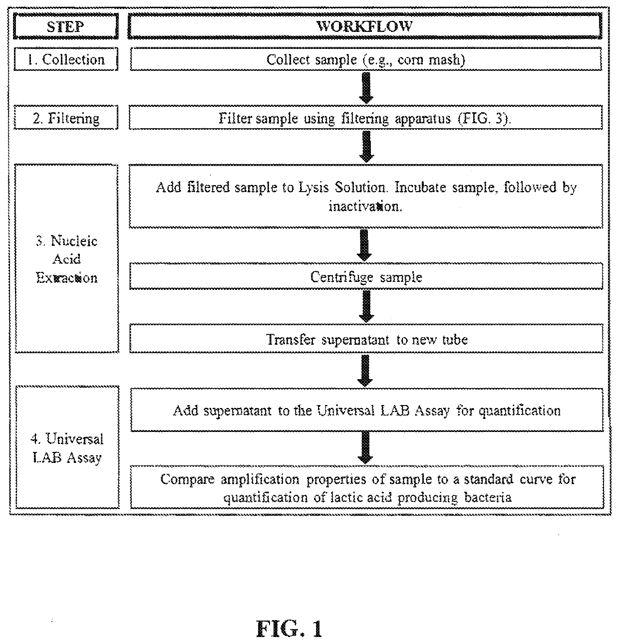 Universal lactic acid bacteria quantification kit for fermentation monitoring