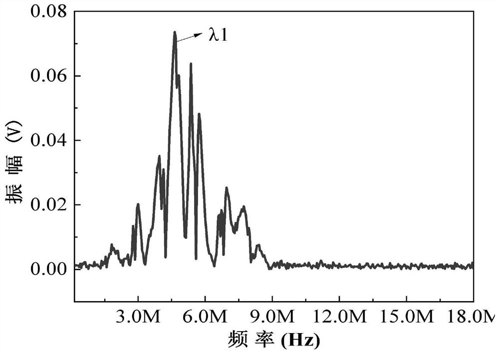 Heterogeneous solution gas content detection device and detection method