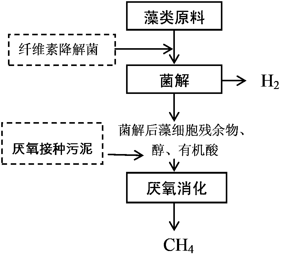 Method for improving anaerobic energy production efficiency of algae raw material through bacterial degradation biological pretreatment