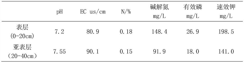 High-yield and high-efficiency fertilization management technology with low non-point source pollution risk for chive