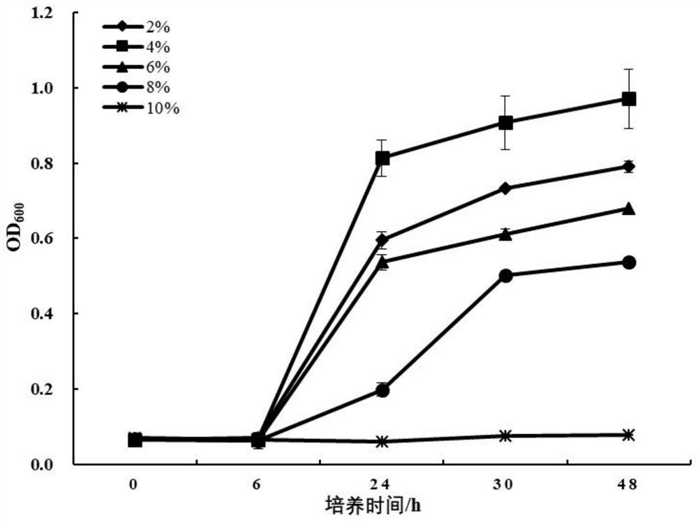 An enzyme-producing, halo-loving bacillus and its application in the control of pathogenic bacteria in saltwater aquaculture