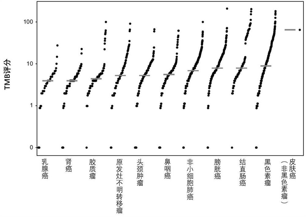 Classifier for predicting ICI drug application sensitivity of advanced tumor patients and application