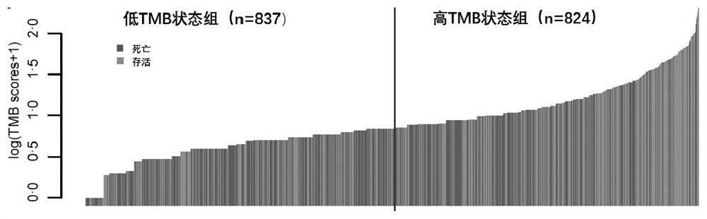 Classifier for predicting ICI drug application sensitivity of advanced tumor patients and application